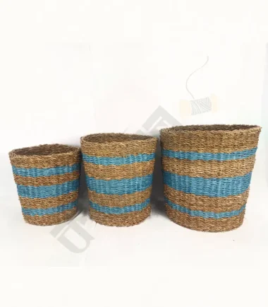 Set of handwoven seagrass planter baskets in various sizes, perfect for indoor plants.